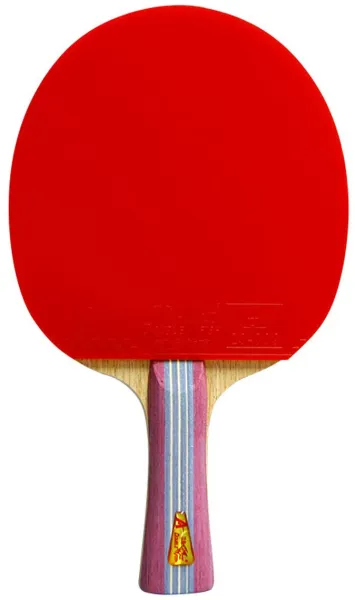 Double Fish 1A+ Bordtennisracket